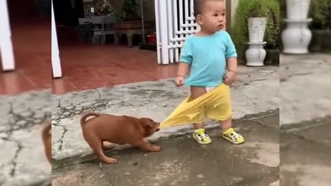 A dog that acts badly on its owner
