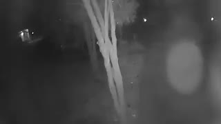 Spirit caught on camera