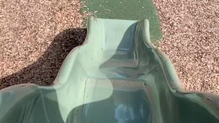 Corgi Almost Makes it to the Top of the Slide