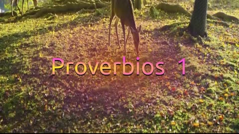 Proverbios 1_ Dramatización : M.Guadalupe Correa.