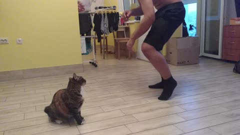 Fighting with a cat (actually not)