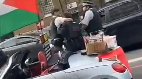 Police assaulted a pro-Palestine activist carrying a Palestinian flag in London