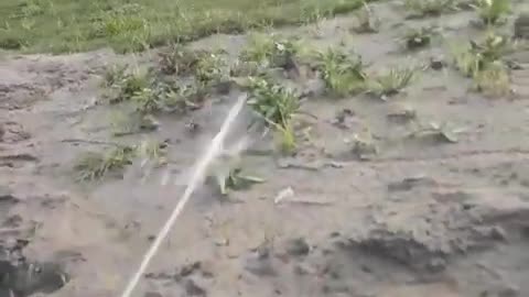 Working Irrigation System