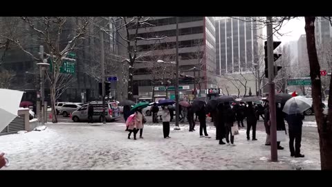 서울의 팔레스타인 지지자 행진 Free Palestine parade in Seoul