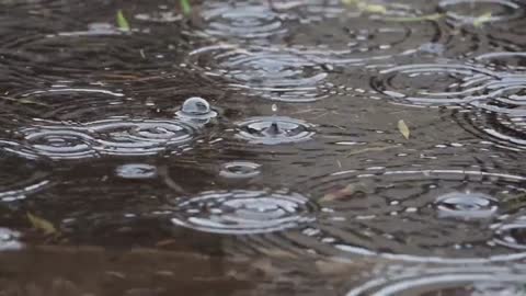 Overcome insomnia under drops of heavy rain and the sound of thunder