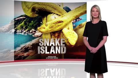 the deadliest place on earth Snake Island
