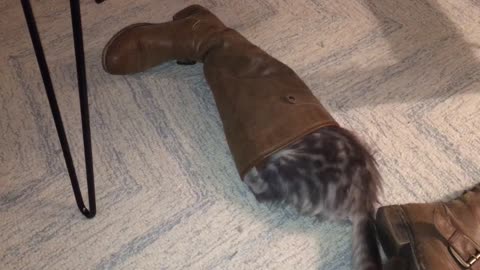 Case pretends he’s Puss in Boots