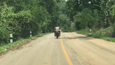 Snake Jumps On Motorcyclist From The Middle Of The Road