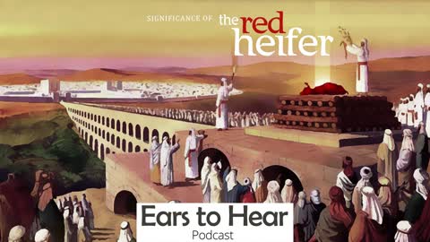 Ears To Hear Podcast Episode 24 - The Significance of The Red Heifer