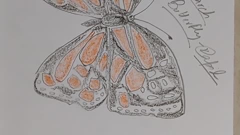 How to draw Monarch butterfly drawing.