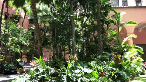 Majestic Royal Hawaiian Hotel grand entrance, afternoon tropical breeze