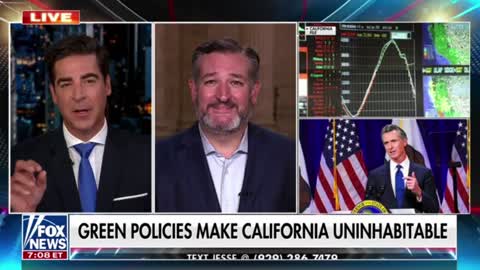 Sen. Ted Cruz: "Today's Democrat Party is all about California environmentalist billionaires. "