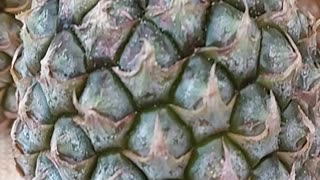 Pineapple in slow motion