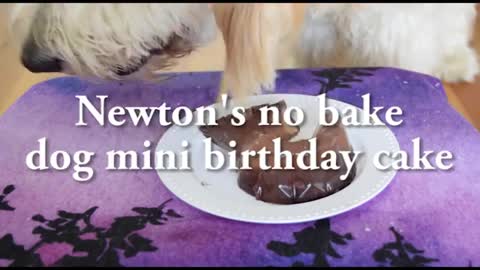 Your dog's standard birthday cake, easy to make.