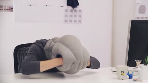OSTRICH PILLOW? Wth Products