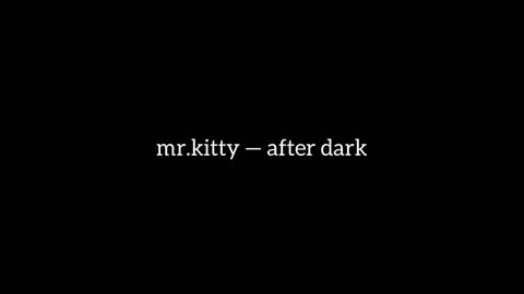 mr.kitty — after dark (slowed//muffled//reverb)