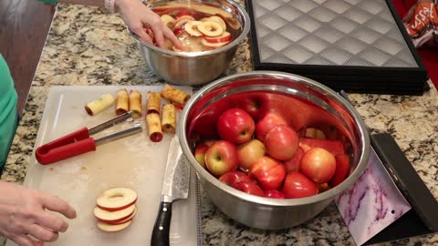 Dehydrating Apple Chips ~ Easy Dehydrating ~ Dehydrating For Beginners