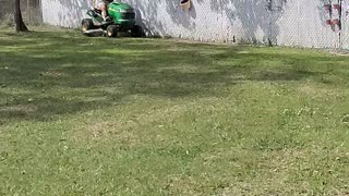 Wife cutting grass