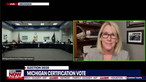 DATED NOV 2020 Michigan GOP Chair Urges Canvassers To Delay Certification Vote