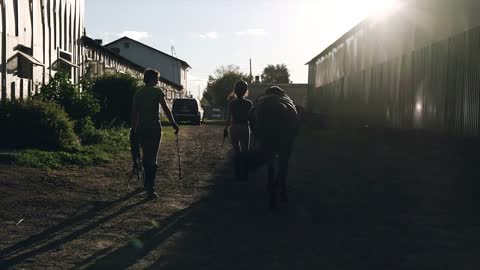 Two women with a horse at sunset