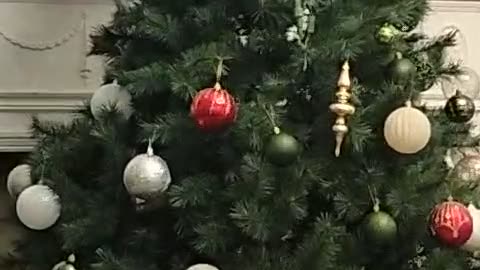 Christmas Tree 🎄🎄🎄🎄