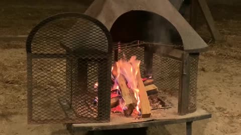 Firewood on campsite