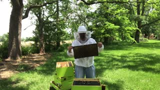 S2E28. Results of OTS in Hive #2. Looking for a queen.