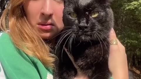 ANGRY CAT AND DOCILE CAT