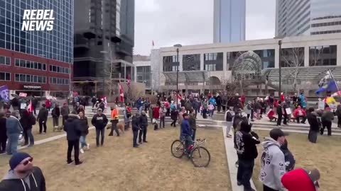 🙏 Canada Freedom Convoy: Truckers are back; Tickets handed to whoever honks in support of the Rally