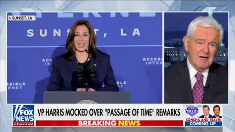 NEWT: We Have to Pray for Biden’s Health, Kamala Harris May Be the Dumbest Person Elected as VP