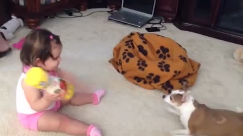 A very cute dog playing with a child