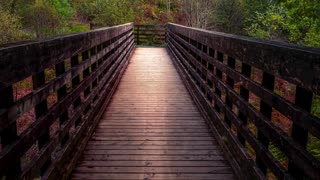 Landscape Photography, as simple as a Walk in the Woods