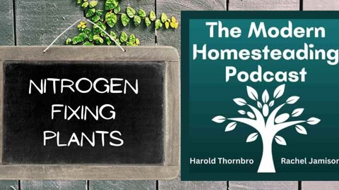 Nitrogen Fixing Plants For The Homestead - Modern Homesteading Podcast Episode 247