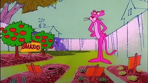 The Adventures of the Pink Panther