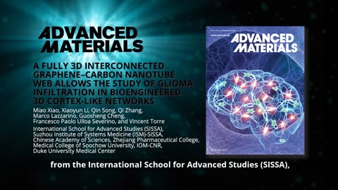 Interconnected Graphene–Carbon Nanotube Web to Study Glioma Infiltration in Cortex-Like Networks