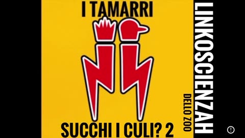 I Tamarri. Succhi i culi? Ep2