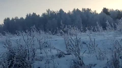 Beautiful winter of Khakassia