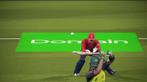 Cricket 19