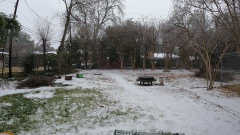 TimeWarp of DFW Snowfall