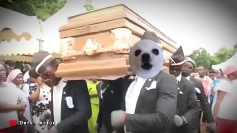 Coffin Dance Meme -Gabe the dog version