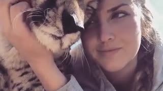 Amazing Love Moments with Cheetah