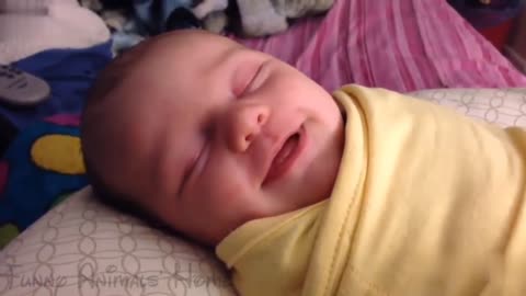 Funny Video of Sleeping Babies