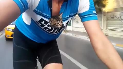 Captan a un ciclista llevando a una diminuta gatita del modo más tierno y seguro tras rescatarla