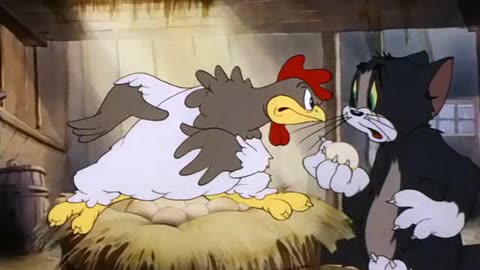 Tom and Jerry: Fine Feathered Friend - Feathers Fly in a Comic Chase 008