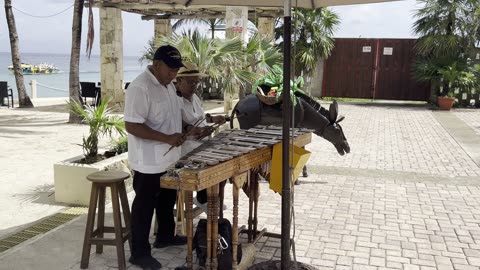 Sounds of Costa Maya