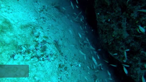 Jupiter FL wreck dive