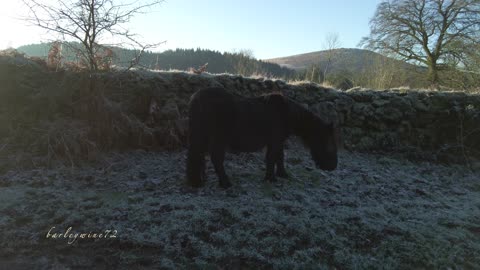 Frosty winter hike to Sheepstor, Dartmoor