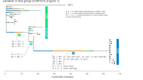 Monkeypox Origination and Human Transmission