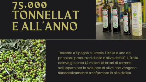 Novità e cifre riguardanti gli olivi | amedeo nicolazzi