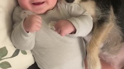 Cute Baby and dog sleeping togather and enjoy funny #Dogbaby#Dog#baby